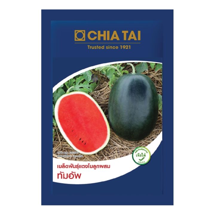 เมล็ดแตงโมทัมอัพ เจียไต๋ คุณภาพสูง งอกง่าย