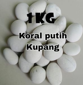 Batu putih kupang 1 KG  dekorasi taman dan akuarium