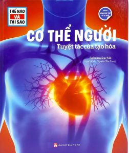 Sách - Thế Nào Và Tại Sao: Cơ Thể Người - Tuyệt Tác Của Tạo Hóa (Tái Bản 2026)