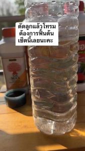 สูตรเด็ดล้างสาร ล้างต้น คุมโรค เสริมภูมิคุ้มกัน เร่งยอด เร่งราก บำรุงดิน