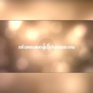 **โปรร้านใหม่**เกลด สเปรย์ปรับอากาศอัตโนมัติ ( ตัวเครื่อง+รีฟิว+ถ่าน)
