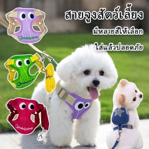 【Option World】COD NEW สายจูงสัตว์เลี้ยง ปลอกคอแมว สายจูง ลายน่ารัก สายจูงหมา สายจูงปรับได้ รูปลักษณ์สูง