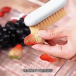 Wireless Fruit Vegetable Purifier Turbo Food Cleaner Remove Pesticide Sterilizer