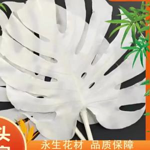 [ Lá hình lưng rùa ] Lá Monstera vĩnh cửu Lá Monstera nổi tiếng trên mạng Cắm hoa Vật liệu hoa trang trí mềm mại ins Bắc Âu