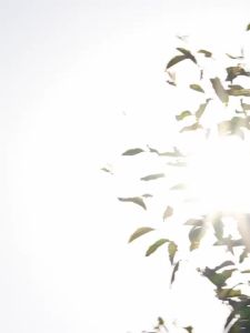 BABREA Concealer 芭贝拉遮瑕膏 Barbella Tricolor Concealer Palette Cover Spots Dark Circles Face Tear Groove Authentic