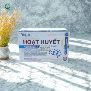 Hoạt Huyết Thông Mạch – Tăng Cường Tuần Hoàn Não Giảm Đau Đầu Chóng Mặt Mất Ngủ