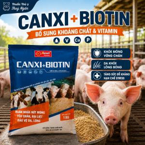 Canxi biotin (1 kg) | Phòng ngừa đau móng yếu chân bại liệt trên heo | Dùng trong chăn nuôi
