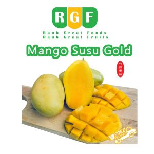 Fresh Mango Susu Gold/ Chukanan Thailand (1kg: 2 to 3 pcs)