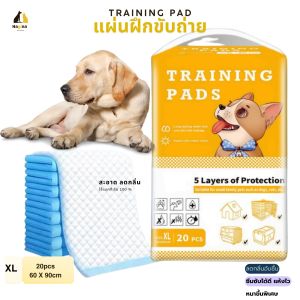 แผ่นรองฉี่สุนัขและแมว แผ่นรองซับสัตว์เลี้ยง ช่วยฝึกขับถ่าย Training Pads