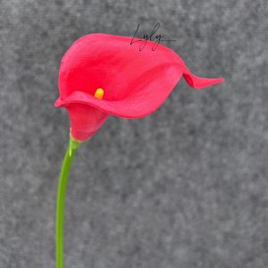 Rum Cao Su Đại Cao Su Non (Calla Lily) dài 65cm. Trang Trí Phòng Cắm Sự Kiện. Hoa Lụa Decor