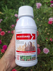 [THIEN THINH SHOP] RICEGUARD 40 OD 500ml – Thuốc Trừ Cỏ Hậu Nảy Mầm Trên Lúa