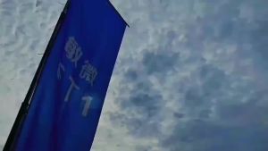 Big Ribbon Bow for Cars or Giant Present 汽车交车提车蝴蝶结。。。