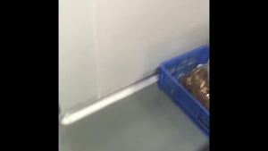 头疗SPA馆养发护发控油草本膏头皮洗发膏滋养洗发水头皮护理修护