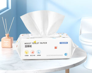 Flushable Wipes Tissue / Ultra Soft Moist Toilet Tissue / Wet Tissue /Antibacterial 80pcs