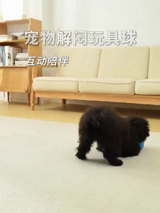 Auto Bouncing Pet Toy With Chirping Noise Maker Durable ABS Indoor Outdoor Use For Puppies Exercise