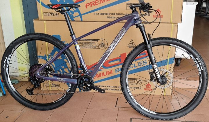 Xds mtb carbon frame sale