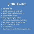 [HCM]Máy bóc vỏ trứng cút - máy lột vỏ trứng cút mini. 