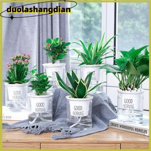 [Duola] Chậu hoa trong suốt Chậu hoa cây tự tưới nước trang trí sân vườn nhà cửa