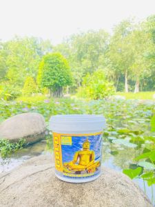 Sơn nhũ vàng 24k DT PAINT