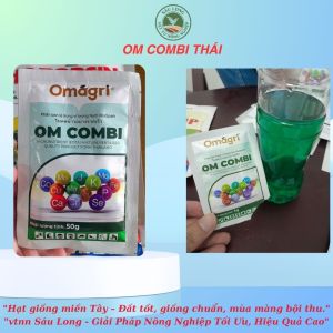 ComBi Thái | Kích thích bộ rễ phát triển xanh lá cứng cây | 1 gói pha 1 bình