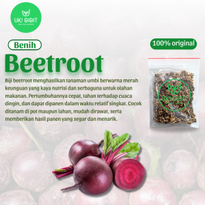 ( 10 Gram ) Benih Biji Beet | Beetroot | Ubi Bit
