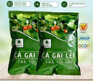 Trà cà gai leo túi lọc mát gan bịch 500g (100 túi lọc)