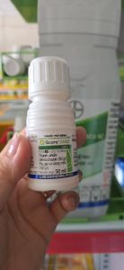 Thuốc Trừ Bệnh Cao Cấp Score 250EC - Chính Hãng Syngenta 50ml (chai)