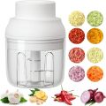 ElectricFood Chopper,250ML Portable Garlic Chopper with USB Charging Function,Food Slicer for Onion Vegetables Chili Ginger Meat Nuts Fruits Salad (Green). 