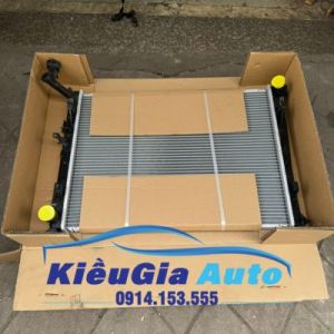 Két nước Hyundai Elantra 2006-2010 253102H000