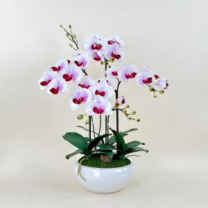 กระถางกล้วยไม้ปลอม ดอกไม้พร้อมกระถาง ดอกไม้ปลอมแต่งบ้าน