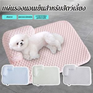 สุนัข รังแมว รู้สึกเย็นสบาย ผ้าไหมน้ำแข็ง เสื่อ