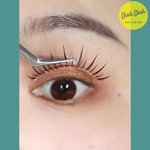 Mi Giả Tự Nhiên Gân Trong (Hộp 5 cặp) hàng cao cấp kèm Keo dán mi 4 món