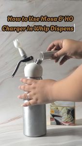 *HO Whip Dispenser 500ml / Whipped Cream Dispenser / Baking Tool / Frappe Maker
