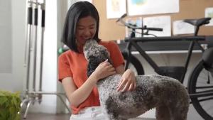 Oxyfresh®  Water Additive - Cat & Dog Toothpaste Replacement  Ubat Gigi Kucing (100/473ml)