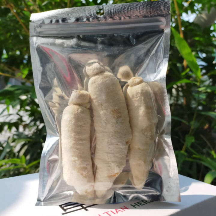 White Ginseng 白泡参 150g 小孩大人热咳 病后身体虚弱 补脾益肺 肺虚喘咳 增强体质 Bai Pao Shen 中药材 药材 ...