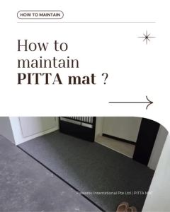 Passorex Thin and Slim Floor Mat - PITTA Mat (Black colour)