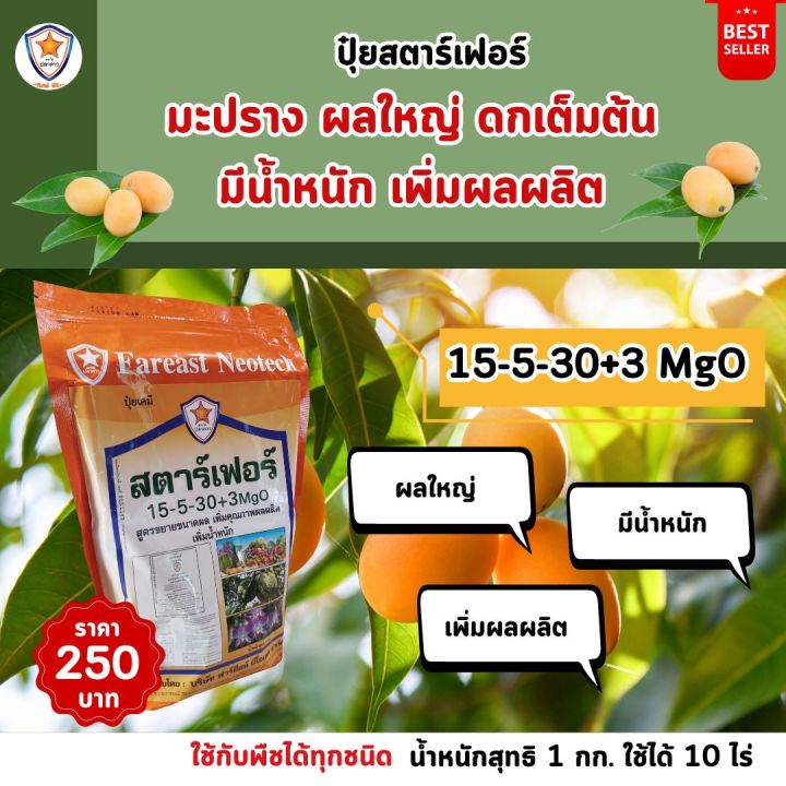 %E0%B8%A1%E0%B8%B0%E0%B8%9B%E0%B8%A3%E0%B8%B2%E0%B8%87%20%E0%B9%82%E0%B8%95%E0%B9%84%E0%B8%A7%20%E0%B9%83%E0%B8%9A%E0%B9%80%E0%B8%82%E0%B8%B5%E0%B8%A2%E0%B8%A7%20%E0%B9%80%E0%B8%A3%E0%B9%88%E0%B8%87%E0%B8%A3%E0%B8%B2%E0%B8%81%20%E0%B9%80%E0%B8%A3%E0%B9%88%E0%B8%87%E0%B8%94%E0%B8%AD%E0%B8%81%20%E0%B8%82%E0%B8%A2%E0%B8%B2%E0%B8%A2%E0%B8%82%E0%B8%99%E0%B8%B2%E0%B8%94%20%E0%B8%9C%E0%B8%A5%E0%B9%83%E0%B8%AB%E0%B8%8D%E0%B9%88%20%E0%B8%9C%E0%B8%A5%E0%B8%94%E0%B8%81%20%E0%B9%80%E0%B8%9E%E0%B8%B4%E0%B9%88%E0%B8%A1%E0%B8%99%E0%B9%89%E0%B8%B3%E0%B8%AB%E0%B8%99%E0%B8%B1%E0%B8%81%20%E0%B9%80%E0%B8%9E%E0%B8%B4%E0%B9%88%E0%B8%A1%E0%B8%84%E0%B8%B8%E0%B8%93%E0%B8%A0%E0%B8%B2%E0%B8%9E%20%E0%B8%9C%E0%B8%A5%E0%B8%9C%E0%B8%A5%E0%B8%B4%E0%B8%95%20%E0%B8%94%E0%B9%89%E0%B8%A7%E0%B8%A2%20%E0%B8%9B%E0%B8%B8%E0%B9%8B%E0%B8%A2%20%E0%B8%AA%E0%B8%95%E0%B8%B2%E0%B8%A3%E0%B9%8C%E0%B9%80%E0%B8%9F%E0%B8%AD%E0%B8%A3%E0%B9%8C%20-%20Image%205