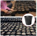 7 Size Borong UV PolyBag Fertigasi Polibag Hitam Nursery Pot Pasu Sayur Plastik Tebal Planting Bag Cawan Susu育苗盆花盆. 