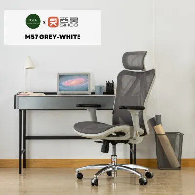 SIHOO M57 All Mesh Ergonomic Office Computer Gaming Chair with 2 Year Warranty | Adjustable Height 2D Headrest 2D Lumbar Support 3D Armrests 3 Tilt-Lock Recline | Office Furniture | Sihoo Official