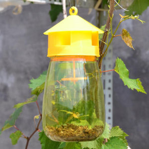 Wasp Trap Insect Bug Hanging Honey-Trap Catcher Killer No-Poison Hanging Tree Killing Bee Trapper Shipping in 24 Hours