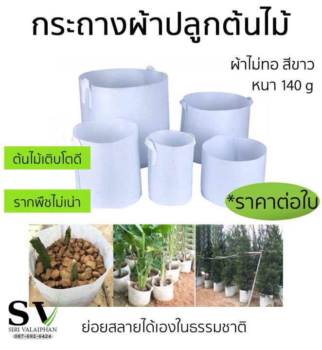 กระถางผ้าปลูกต้นไม้ Non-woven fabric Grow bag สีขาว