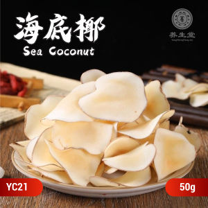 Chinese Herbs Herbal Medicine 海底椰 Sea Coconut Dried Bulk Fragrant Beautifies Skin 中药材 干货 浓香海底椰干 YC21