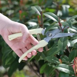 2PCS Professional Orchard Pruning Shears / Stainless Steel Scissors Cutter / Garden Tree Branches Pruner