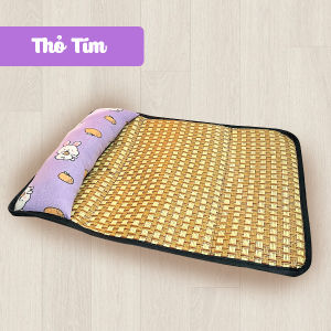 (NEW 2025) CHIẾU GỐI ĐIỀU HÒA DÀNH CHO PET TỪ 2-10KG - CÓ GỐI KÊ ĐẦU MỀM MẠI - NHIỀU MÀU VÀ NHIỀU KÍCH THƯỚC
