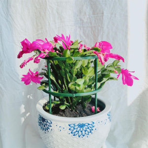 TM/bunga loji sokongan logam berdiri Bonsai Stake Backyard /Garden alat sokongan Ring Climbing Plant Stick Pole / 167