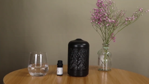 Essential Oil Diffuser 100ml Metal Oil Diffuser Ultrasonic Cool Mist Diffuser with Waterless 7 Color Change