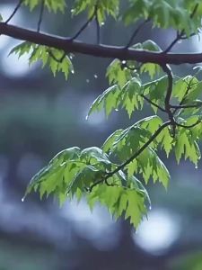 烘鞋器智能蓝光消毒除臭杀菌家用鞋子烘干机快速干鞋器可定时烘烤