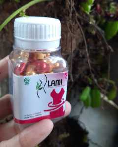 KJP Lami BPOM Original 100% / Kapsul Jamu Pelangsing Herbal ASLI