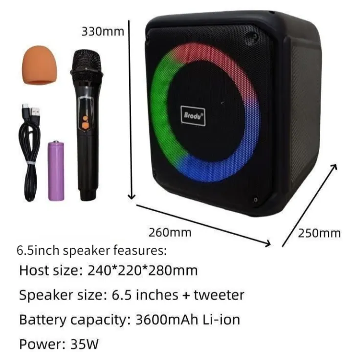 BRODU 6.5 inch Big Karaoke Bluetooth Speaker with Wireless Mic 4inch/6 ...