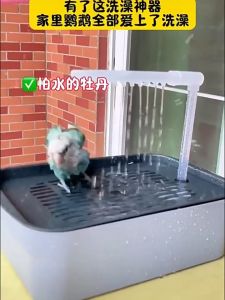 Automatic Electric Parrot Bathing Pool Bird Shower Tub with Water Circulation System Small Birds Pet Cleaning Grooming